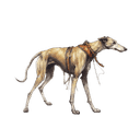 Hund des reisenden Händlers