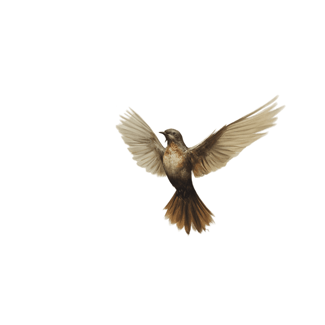 Vögel im Hintergrund